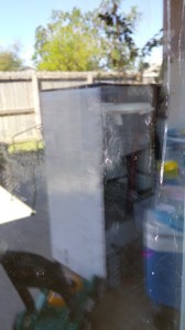 A recently dirty window that leads to our backyard