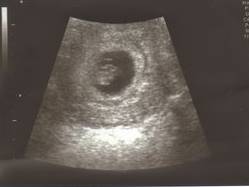 74444_629255110770_1634163_n